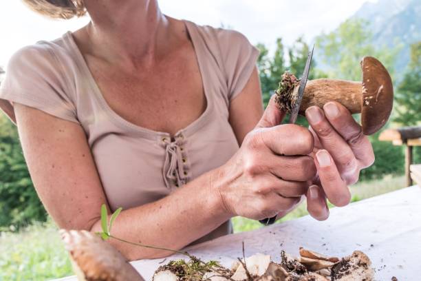 istock Woman Cleaning Picked Up Ceps Mushrooms 1041089524