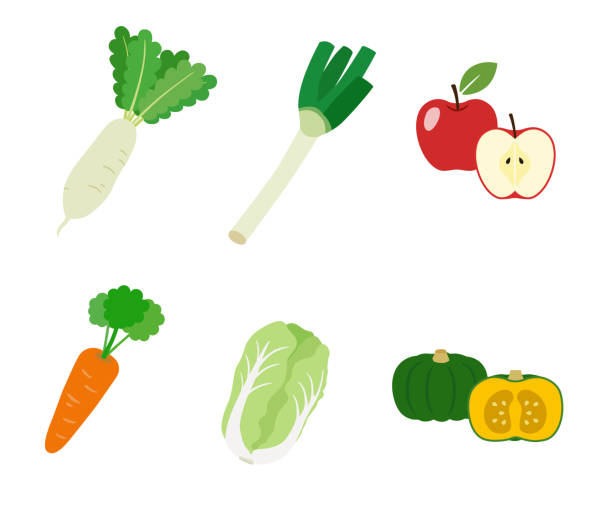 ilustrações de stock, clip art, desenhos animados e ícones de vegetables at autumn and winter and fruit - radish white background vegetable leaf