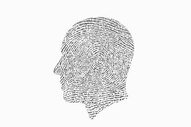 Identity. Fingerprint head. Fingerprint human profile. fingerprint photos stock pictures, royalty-free photos & images