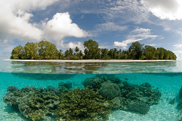 istock tropical island split-level underwater image with coral reef 104109320