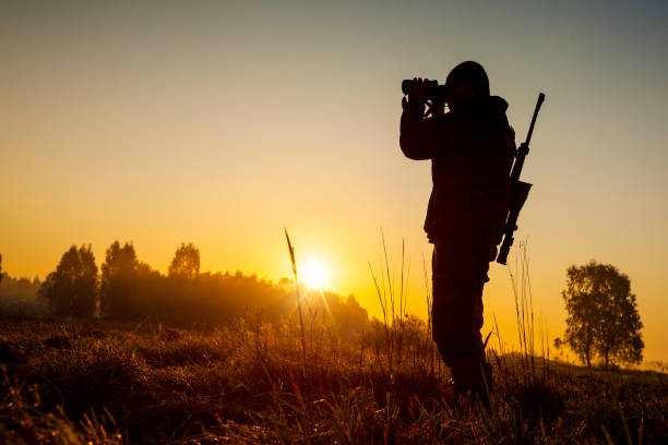 łowca na porannym polowaniu - hunting zdjęcia i obrazy z banku zdjęć