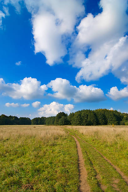 landscape view with blue sky and green grass stock photo
