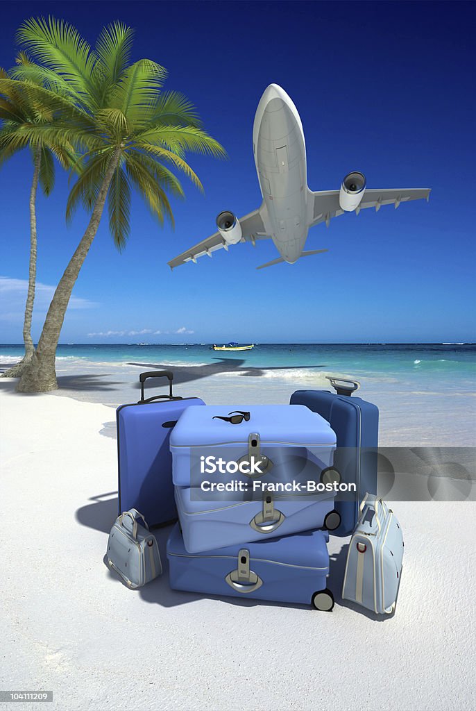Idealny tropikalne wakacje - Zbiór zdjęć royalty-free (Samolot)