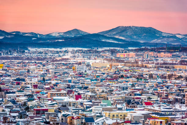 istock Asahikawa, Hokkaido, Japan Skyline 1041114048