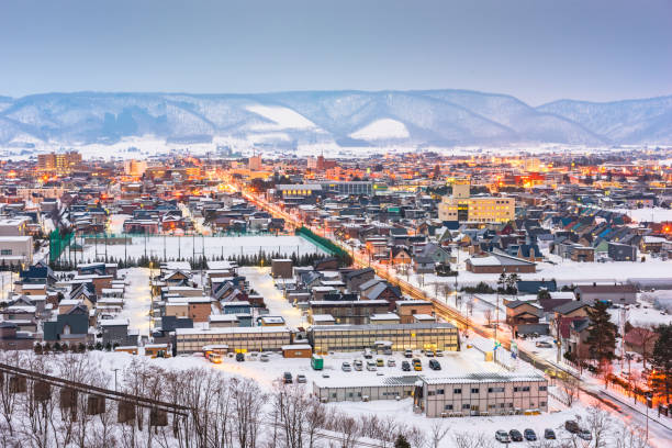 istock Furano, Hokkaido, Japan Skyline 1041115254