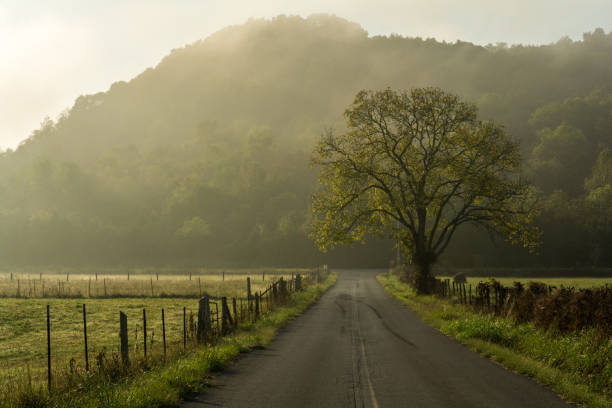 istock Tennessee Country Road 1041118112