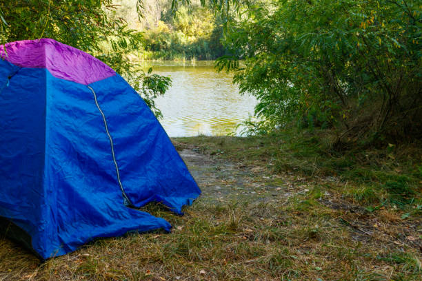 istock Blue camping tent in forest near a river 1041118424