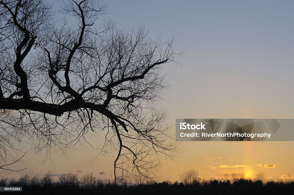 Stony Creek pôr-do-sol - Foto de stock de Beleza natural - Natureza royalty-free