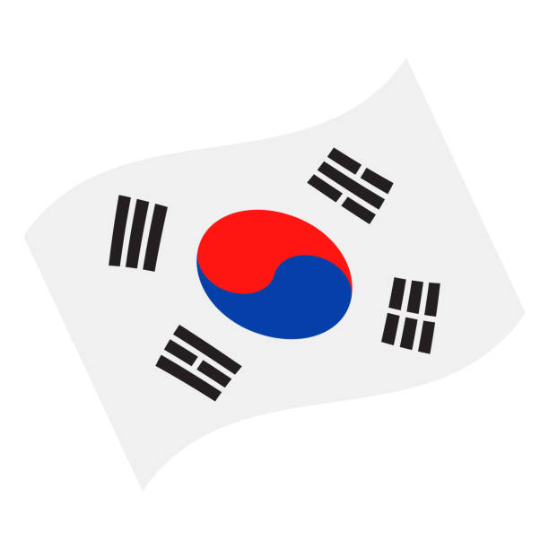 한국-플래그 벡터 평면 아이콘을 흔들며 - south korea south korean flag korea flag stock illustrations