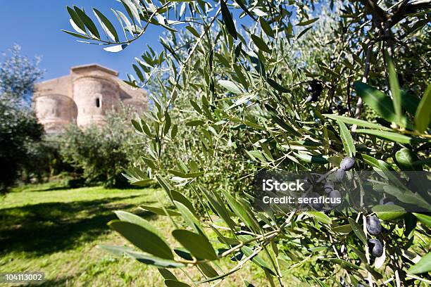 San Giovanni W Venere Tra Gli Ulivi - zdjęcia stockowe i więcej obrazów Abruzja - Abruzja, Gaj oliwkowy, Bazylika