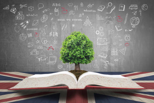 istock Tree of knowledge growing on textbook with doodle on UK Great Britian flag pattern wood table for English language literacy concept 1041140216