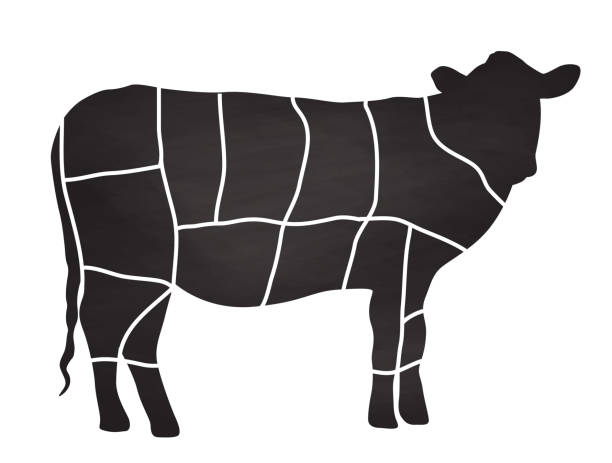 Beef Butcher Cuts Beef Meat Cuts meat silhouettes stock illustrations
