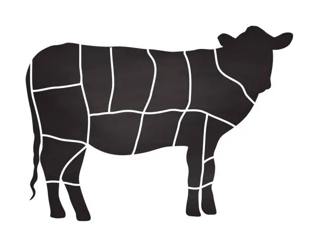 Vector illustration of Beef Butcher Cuts