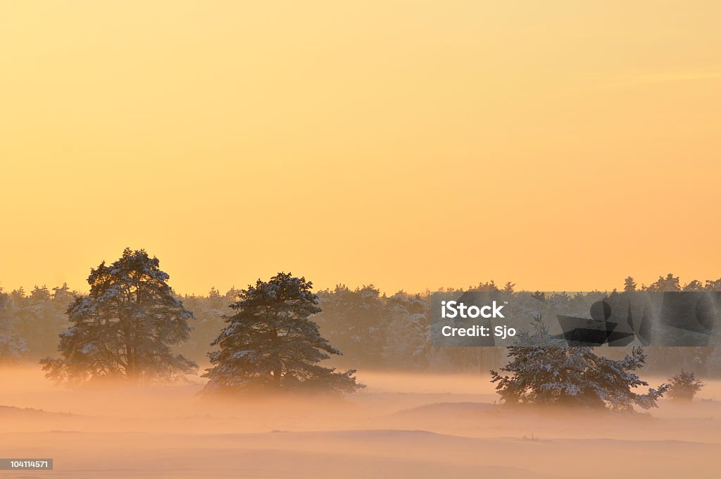 Nívea paisaje de invierno - Foto de stock de Aire libre libre de derechos