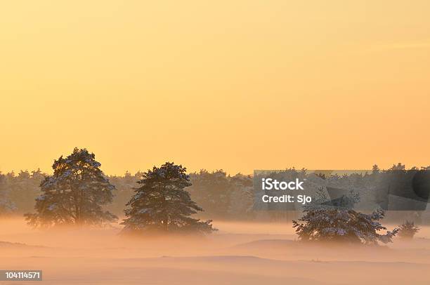 Nívea Paisaje De Invierno Foto de stock y más banco de imágenes de Aire libre - Aire libre, Arbusto, Azul