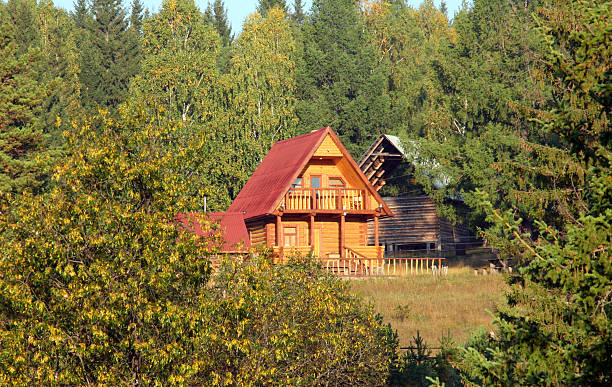 istock Small house in a wood 104114612