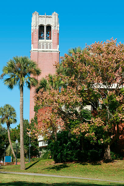 universidade da flórida século tower - university of florida imagens e fotografias de stock