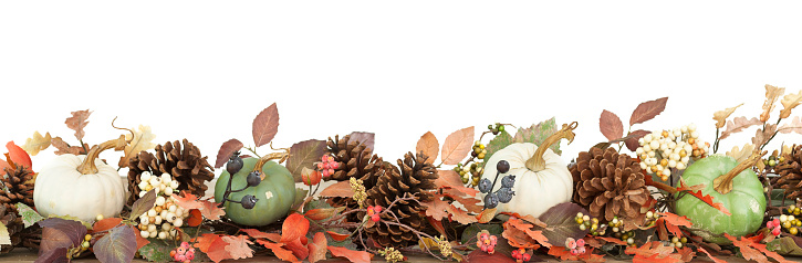 Pumpkins, gourds, corn, apples, flowers, and leaves sit on a wooden surface.