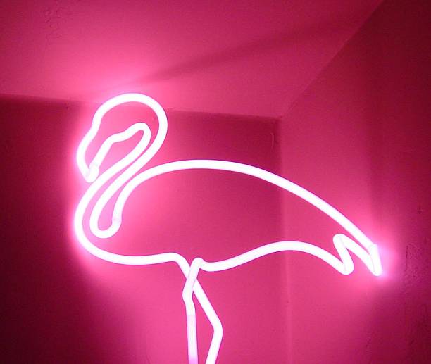 istock Neon flamingo 104115066