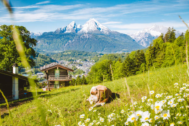 scenario alpino idilliaco con chalet di montagna e mucche che pascolano su prati verdi in primavera - mountain cabin european alps switzerland foto e immagini stock