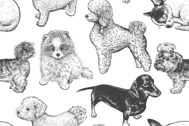 illustrations, cliparts, dessins animés et icônes de modèle sans couture. mignons petits chiots. dessin fait à la main des chiens. - dog wallpaper humor retro revival