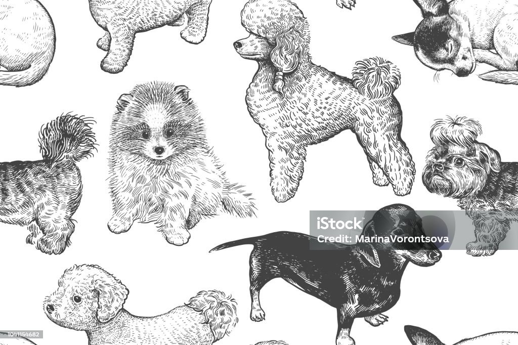 Seamless pattern. Cute little puppies. Hand-made drawing of dogs. Cute puppies seamless pattern. Home pets background. Sketch. Vector illustration art. Realistic portraits of animal. Vintage. Black, white and blue hand drawing of dogs. Dog stock vector