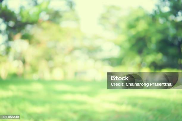 Abstract Blurred Green Color Nature Public Park Outdoor Background At Spring And Summer Season With Sunlight Effect And Vintage Color Tone For Design Concept Stock Photo - Download Image Now