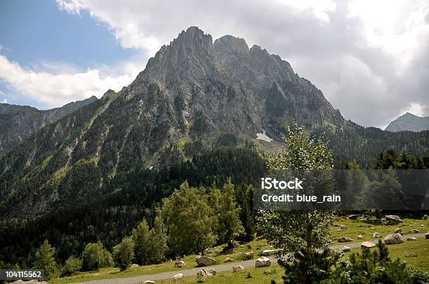 Pirenei - Fotografie stock e altre immagini di Albero - Albero, Ambientazione esterna, Area selvatica