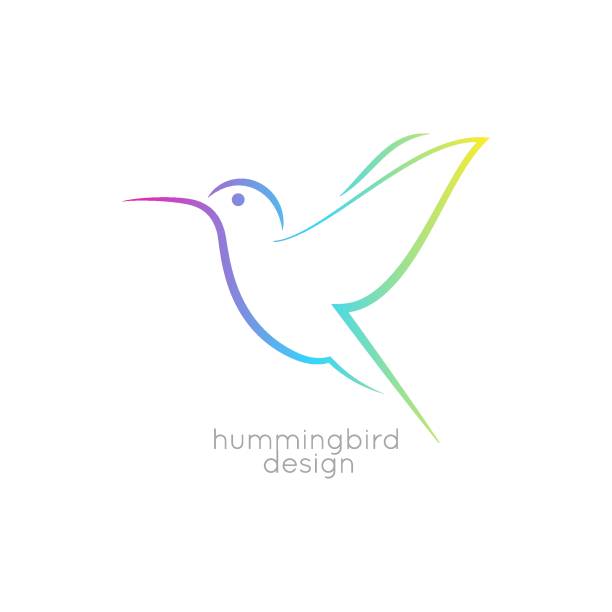 ilustraciones, imágenes clip art, dibujos animados e iconos de stock de diseño de logo de colibrí. icono de colibri aves sobre fondo blanco - canturrear