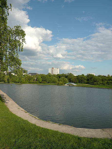 istock summer in city park at day 104116765