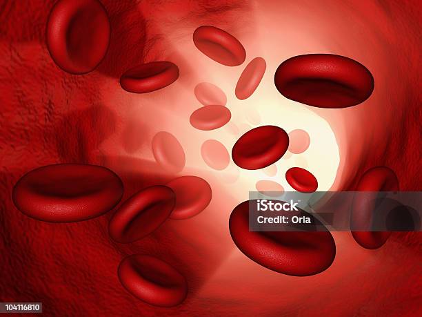 Las Células Sanguíneas Foto de stock y más banco de imágenes de Biología - Biología, Anatomía, Arteria humana