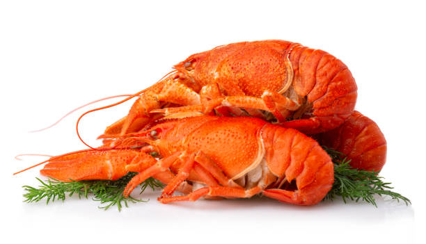 istock Boiled crayfish with dill isolated on white 1041182182