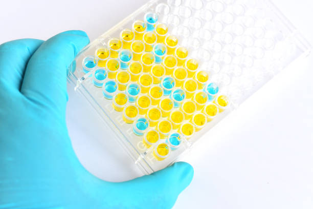 istock Enzyme-linked immunosorbent assay (ELISA) plate 1041182594