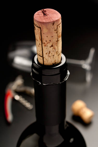 istock Bottle of wine 1041183322
