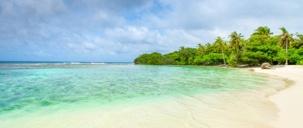 istock Beautiful sandy beach in uninhabited island 1041183810