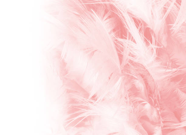 istock Coral Pink vintage color trends feather texture background 1041190642