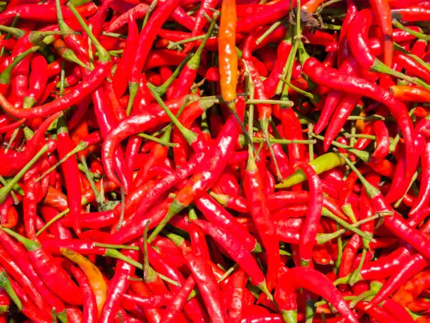 Red chilies background located in fresh food of department-store