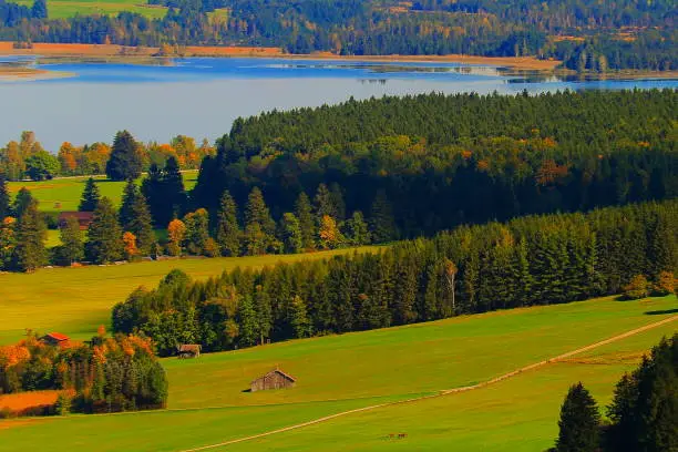 Fussen countryside and Forggensee in Bavarian alps at golden autumn, Germany, border with Austria