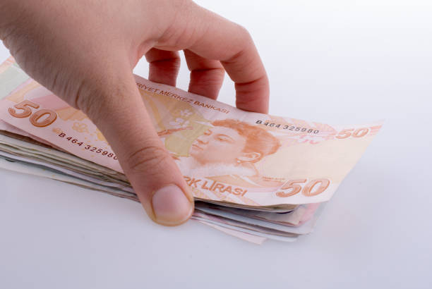 istock Hand holding Turksh Lira banknotes  in hand 1041204220