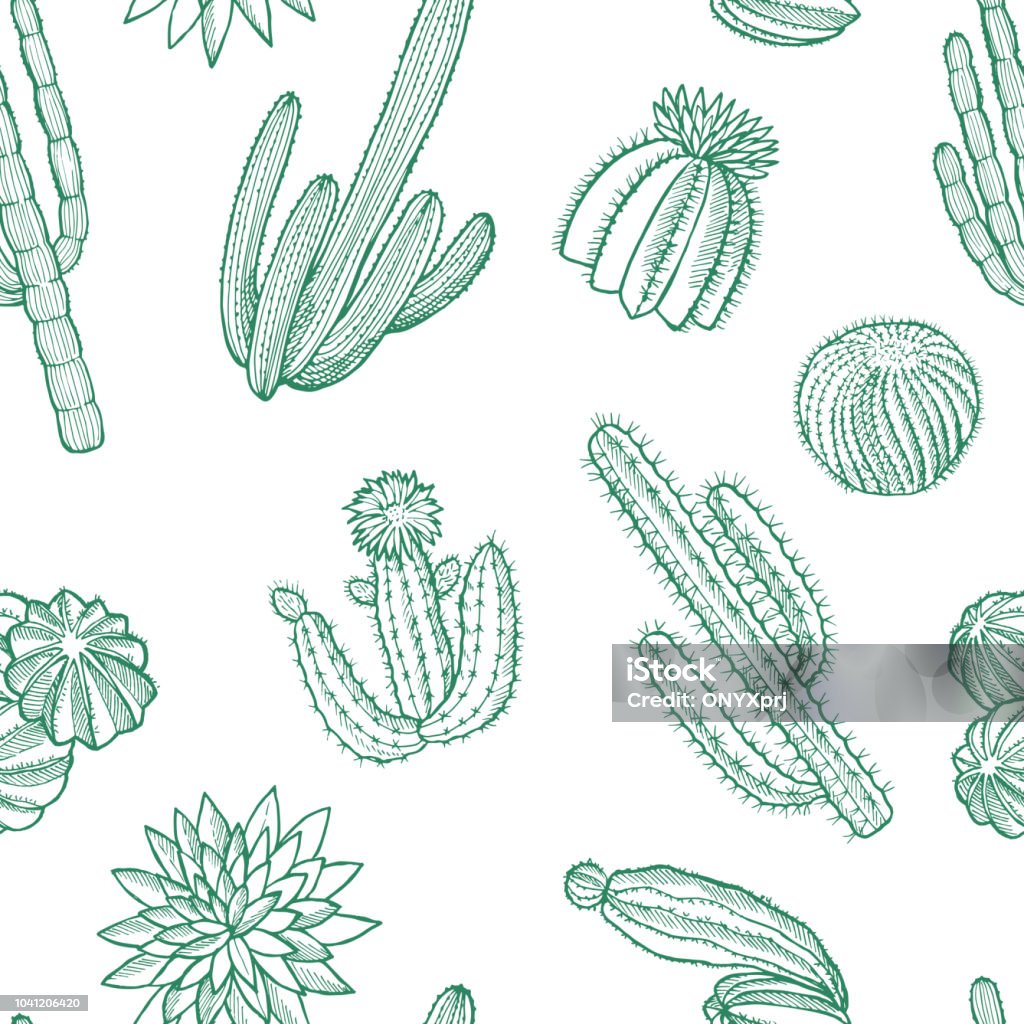 Vector hand drawn wild cacti plants pattern illustration Vector hand drawn nature wild cacti plants pattern or background illustration Cactus stock vector