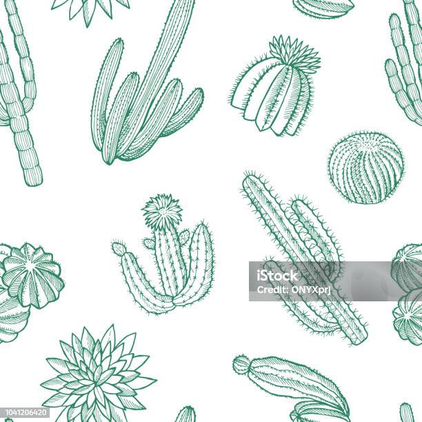 Vector Hand Drawn Wild Cacti Plants Pattern Illustration Stock Illustration - Download Image Now