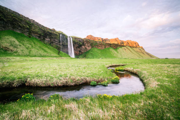 istock Seljalandsfoss waterfall on river Seljalandsa, Iceland 1041206610