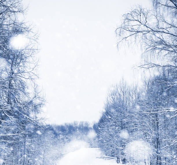 istock A park in the winter in the snow. 1041210072