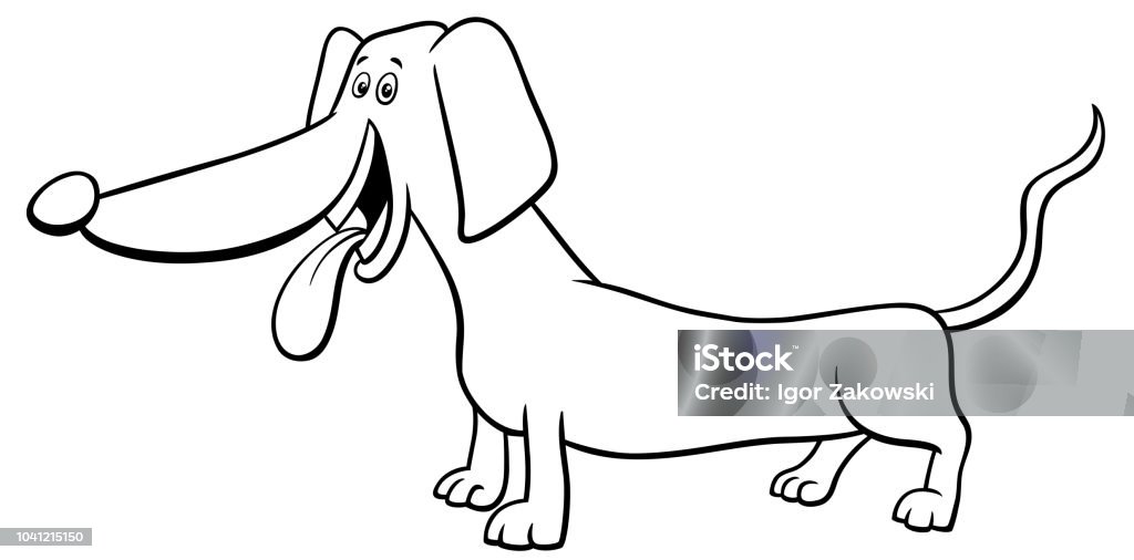 dachshund dog character cartoon coloring book Black and White Cartoon Illustration of Funny Purebred Dachshund Dog Animal Character Coloring Book Animal stock vector