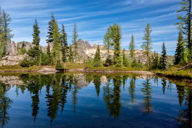 Trees reflecting in a pond near Blue Lake, Winthrop, WA on a sunny day