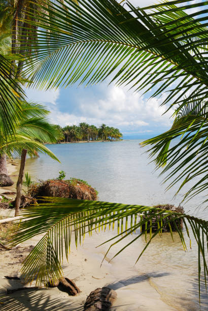 Beach scene framed by palm fronds in Bocas del Toro, located off the coast of Panama in the Caribbean Sea.
