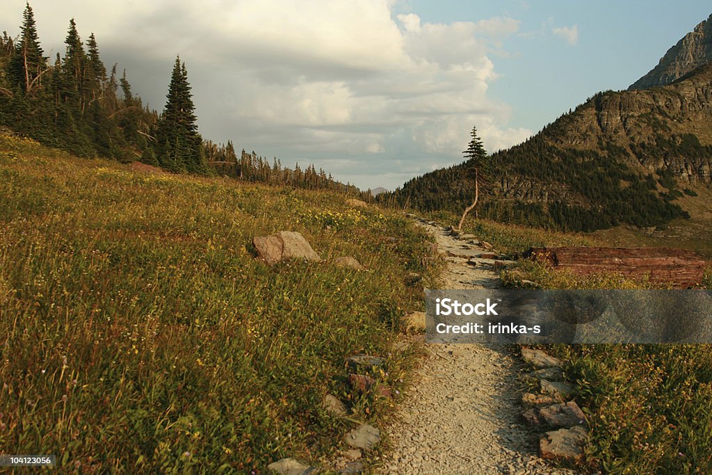 Hidden lago senda ecológica at Logan Pass - Foto de stock de Aire libre libre de derechos