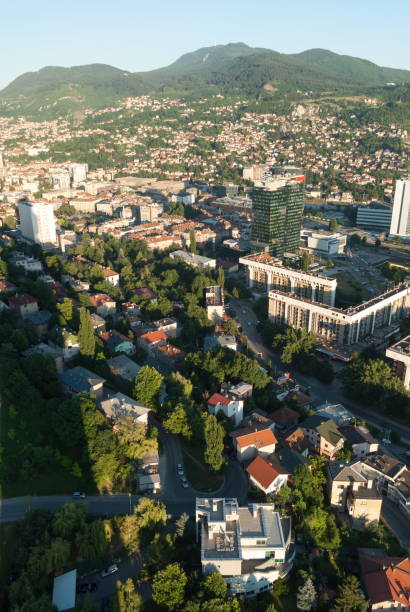 istock High Angle View Of Townscape And Trees In Town 1041230974