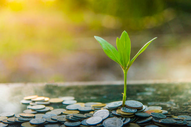 istock Growth tree Green background with black clay 1041234674