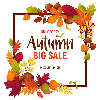 Autumn sale poster with cartoon acorns and various leaves. Colorful template for your design card